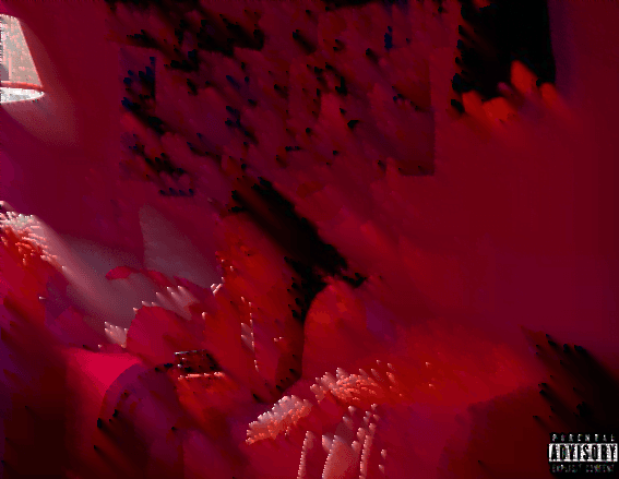 Screen-Shot-2019-11-02-at-8.59.43-AM (1)