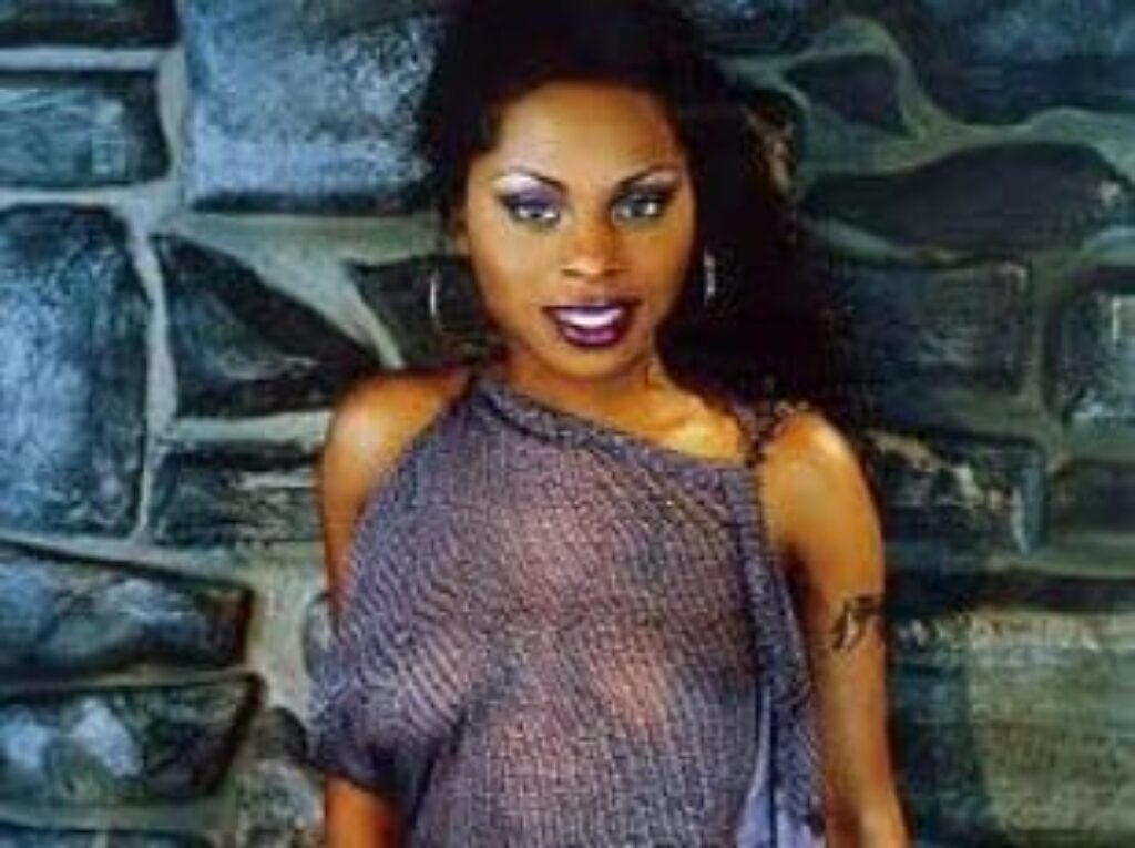 Foxy Brown Arrested.