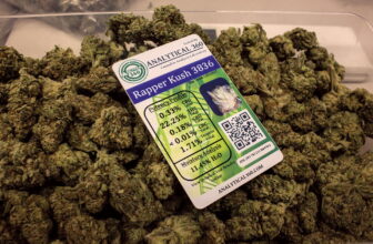 THC Farms