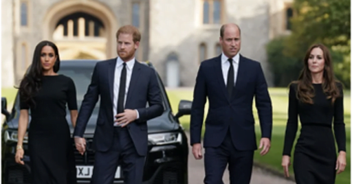 The Sussexes' Controversial 2023 Journey