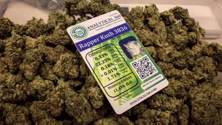 THC Farms Not Just Smoke And Mirrors